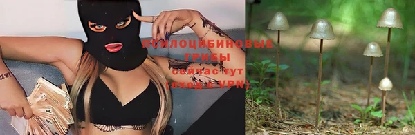 таблы Заводоуковск