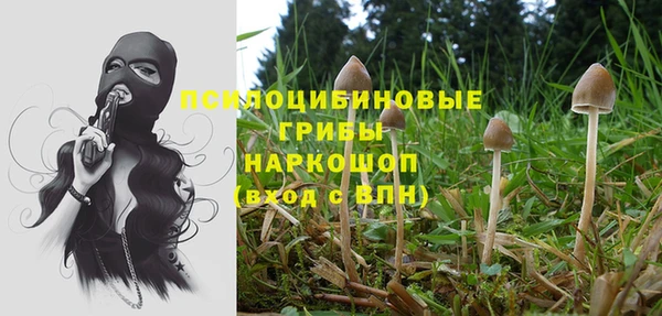 таблы Заводоуковск