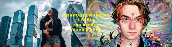 таблы Заводоуковск