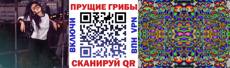 Купить  Усинск  Галлюциногенные грибы Magic Shrooms 